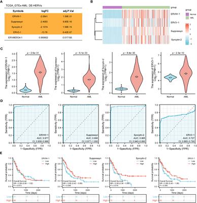 Endogenous retroviruses Suppressyn and Syncytin-2 as innovative prognostic biomarkers in Acute Myeloid Leukemia